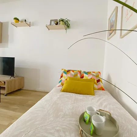 Anguille Delightful In * Fiumicino