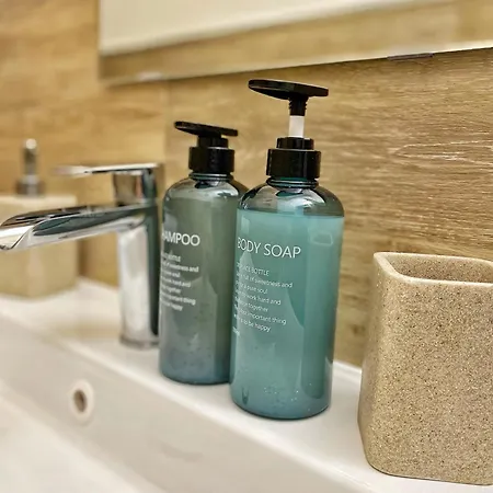 Anguille Delightful In Apartment