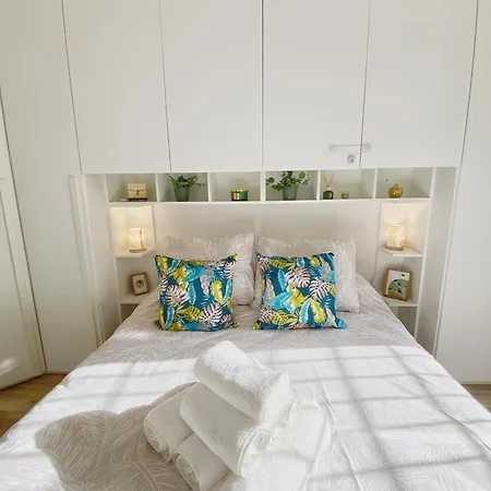 Anguille Delightful In Apartment