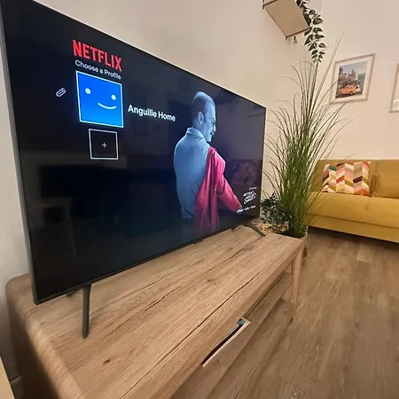 Anguille Delightful In * Fiumicino