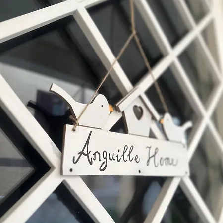 Anguille Delightful In