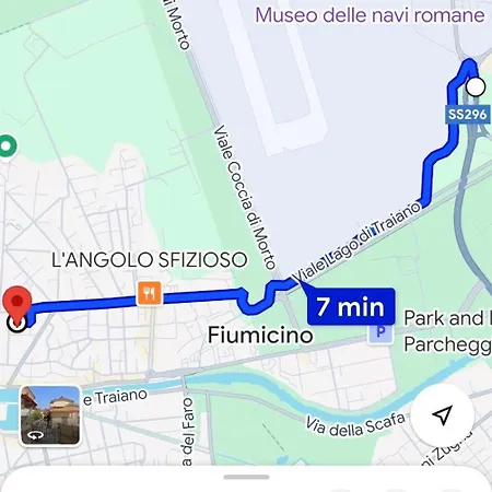 Anguille Delightful In Apartment