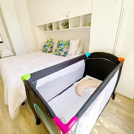 Anguille Delightful In Apartment